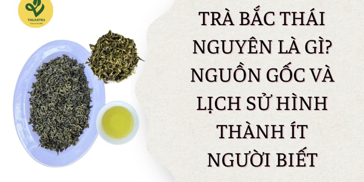 Trà Bắc Thái Nguyên là gì? Khác gì với trà Bắc nói chung