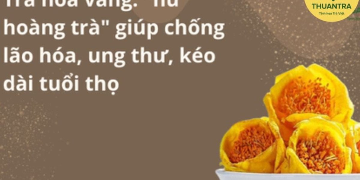 Trà hoa vàng – “nữ hoàng trà” có chống ung thư, chống lão hoá thật không? Soi kỹ 4 nghiên cứu hay được trích dẫn