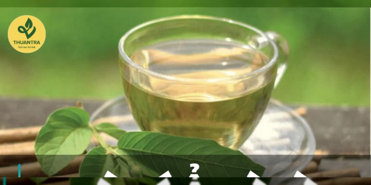 Trà lá ổi là gì? Tác dụng nào có bằng chứng, cách nấu nước lá ổi đúng và ai không nên uống
