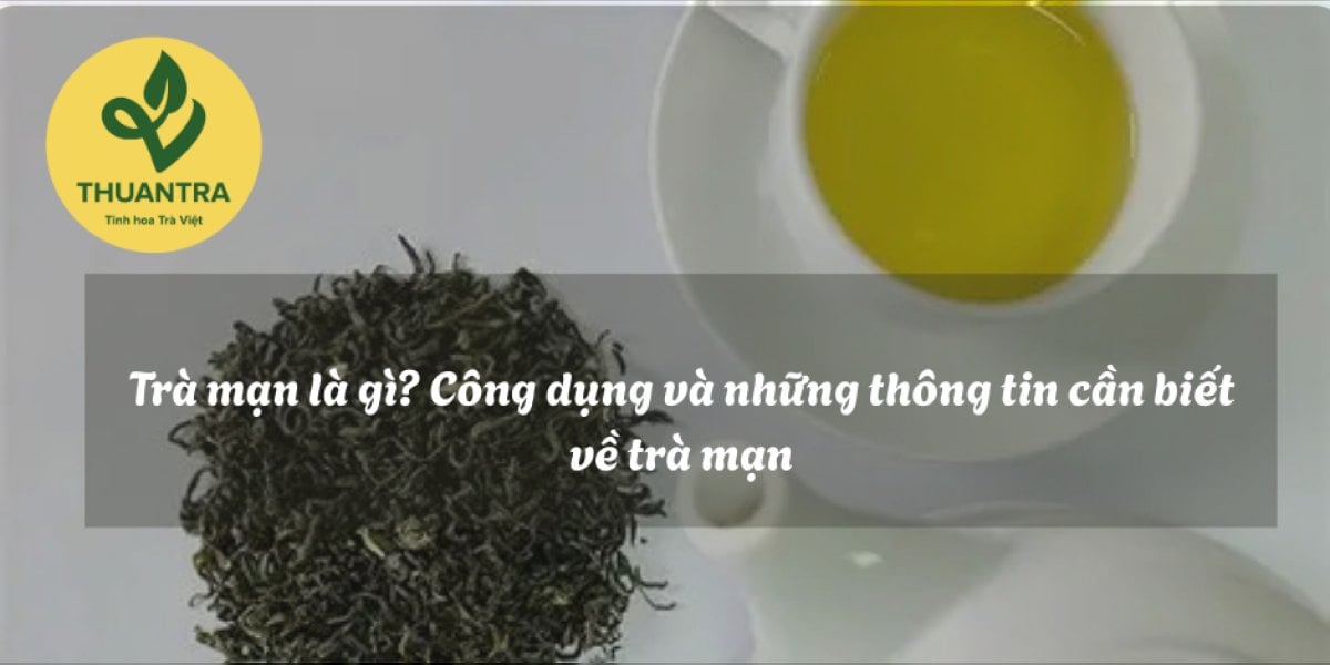 Trà mận là gì: công thức, cách ngâm mận và chọn trà nền cho quán