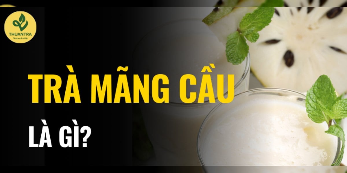 Trà mãng cầu là gì? Công thức pha trà mãng cầu ly 500 ml, 5 biến tấu và lưu ý khi dùng lá, quả mãng cầu