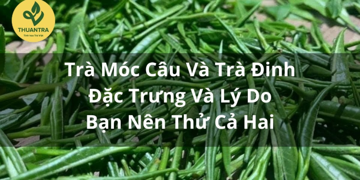 Trà Móc Câu Và Trà Đinh: Đặc Trưng Và Lý Do Bạn Nên Thử Cả Hai