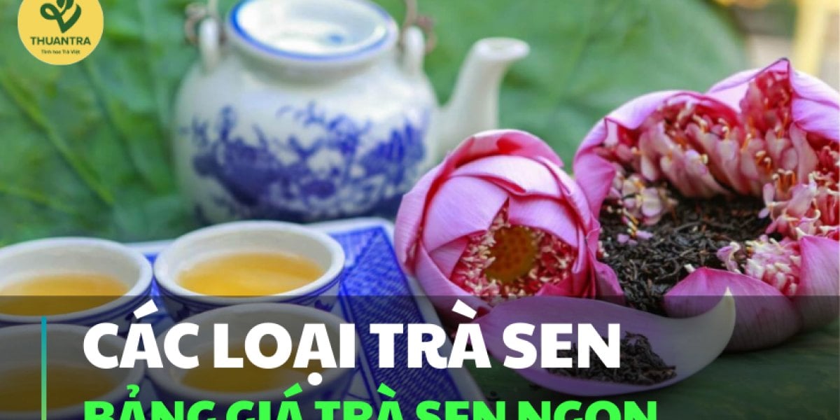 Trà Sen Có Mấy Loại? 8 Loại Trà Sen, Khác Nhau Ở Đâu Và Loại Nào Hợp Với Bạn