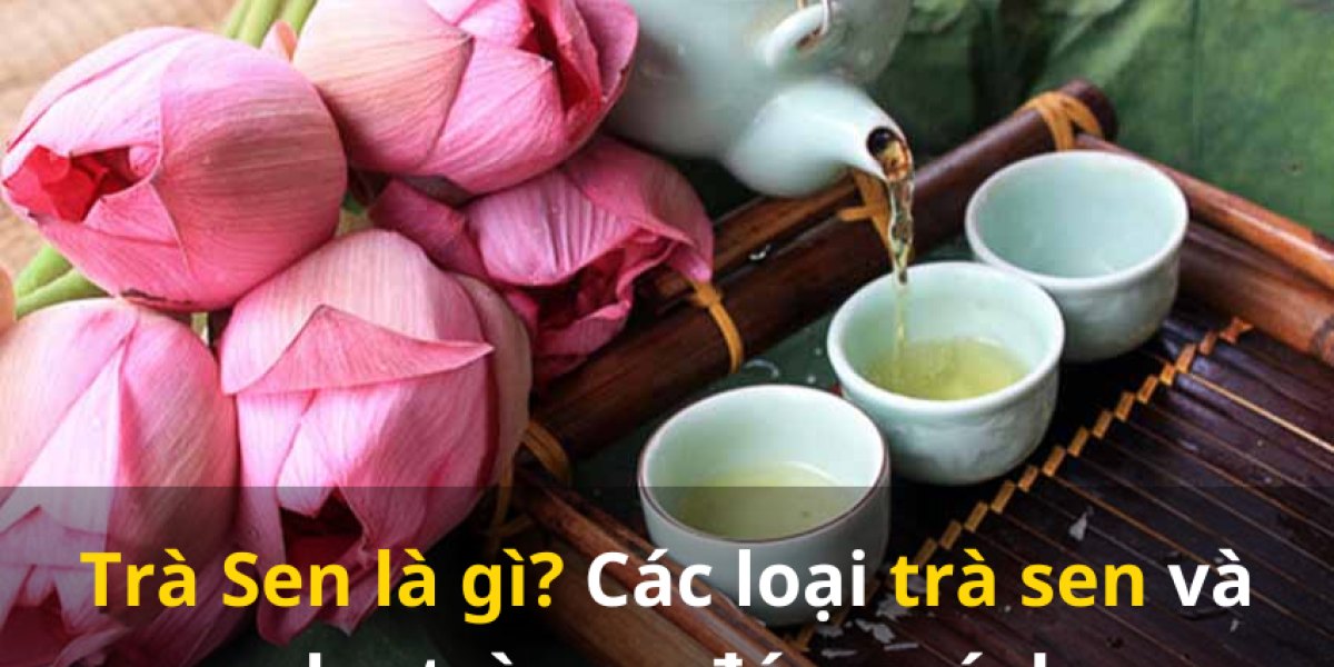 Trà sen là gì và pha thế nào cho đúng? Thông số cho trà ướp gạo sen, sen bông, tâm sen, lá sen và cách giữ hương