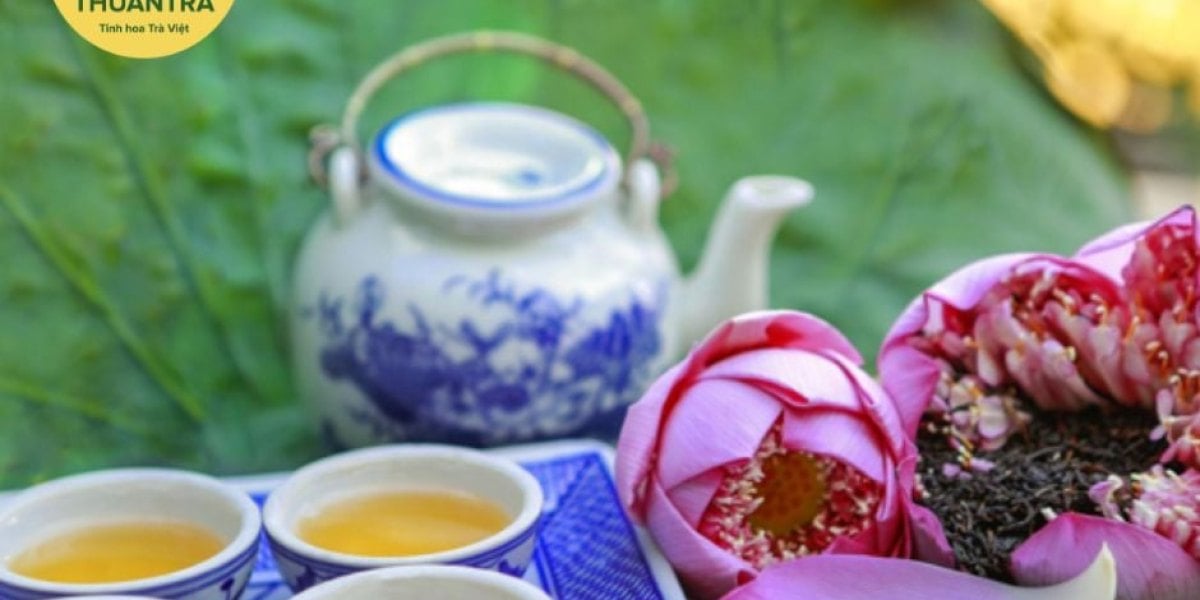Trà Sen Tây Hồ - Cam kết bền vững và tầm nhìn tương lai của Thuận Trà Thái Nguyên