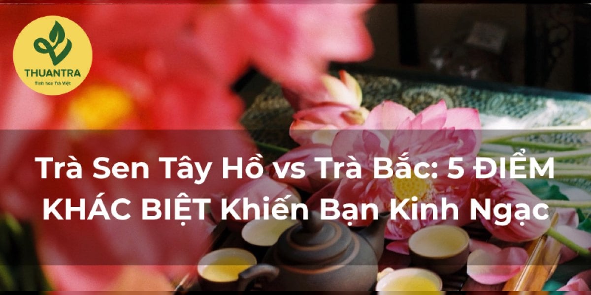 Trà Sen Tây Hồ vs Trà Bắc: 5 ĐIỂM KHÁC BIỆT Khiến Bạn Kinh Ngạc