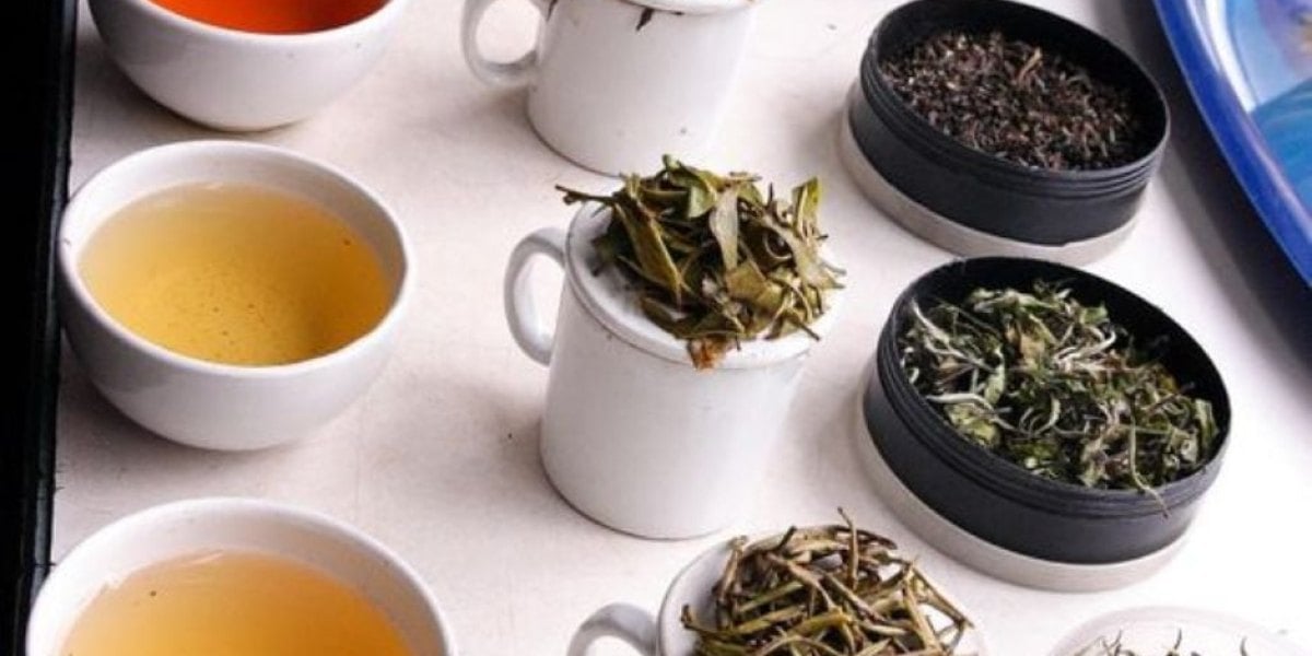 Trà Tân Cương Loại 1: Chất lượng hàng đầu