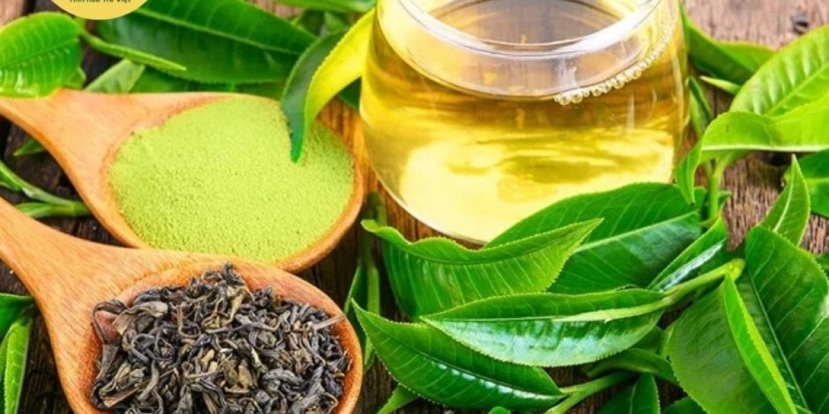 Trà Thực Sự Chống Lão Hoá và chống oxy hoá?