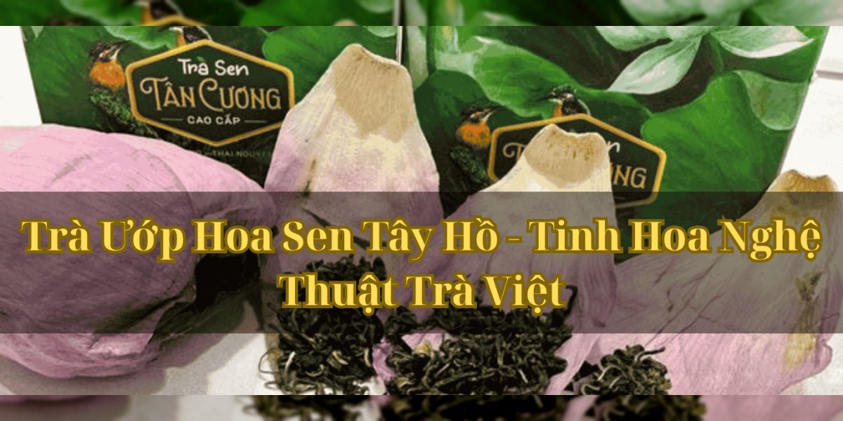 Trà Ướp Hoa Sen Tây Hồ - Tinh Hoa Nghệ Thuật Trà Việt