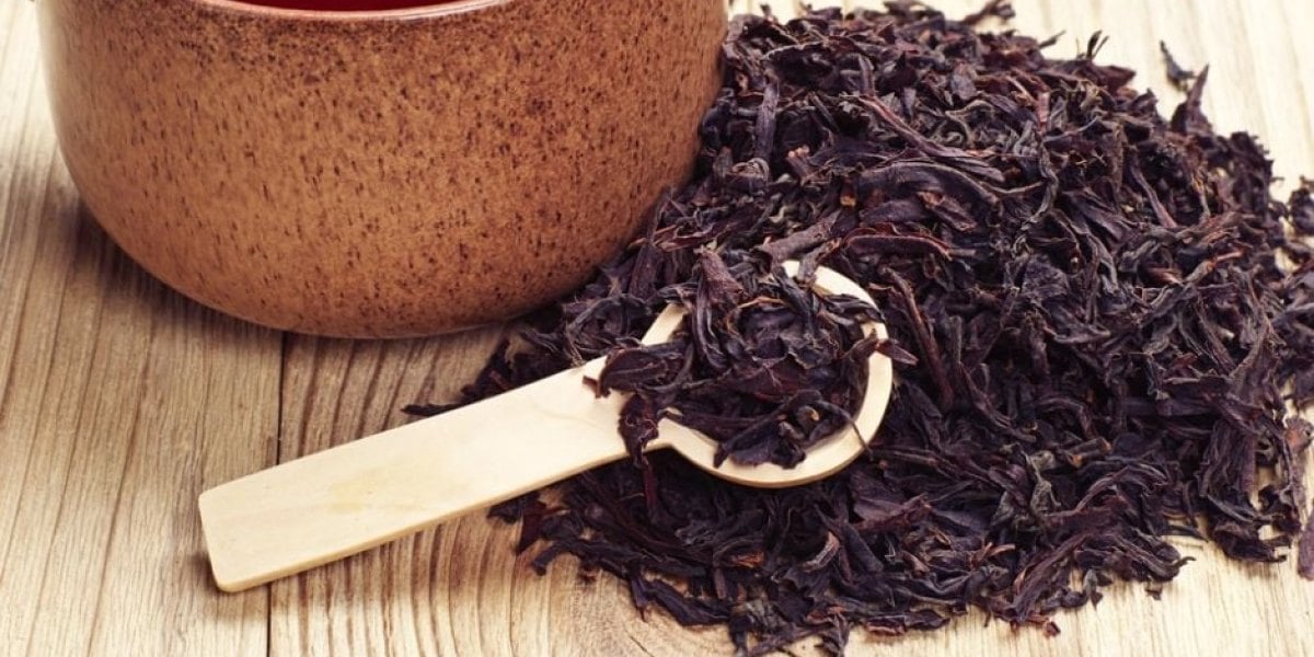 Trà và tương lai của nông nghiệp bền vững