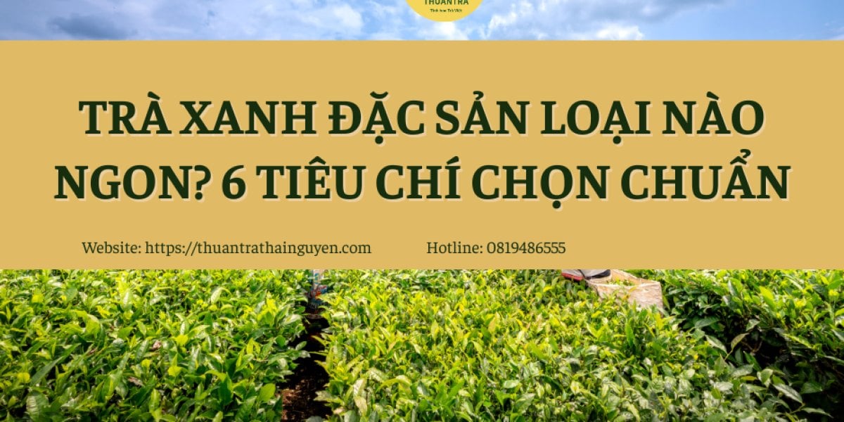 Trà Xanh Đặc Sản loại nào ngon? 6 tiêu chí chọn chuẩn