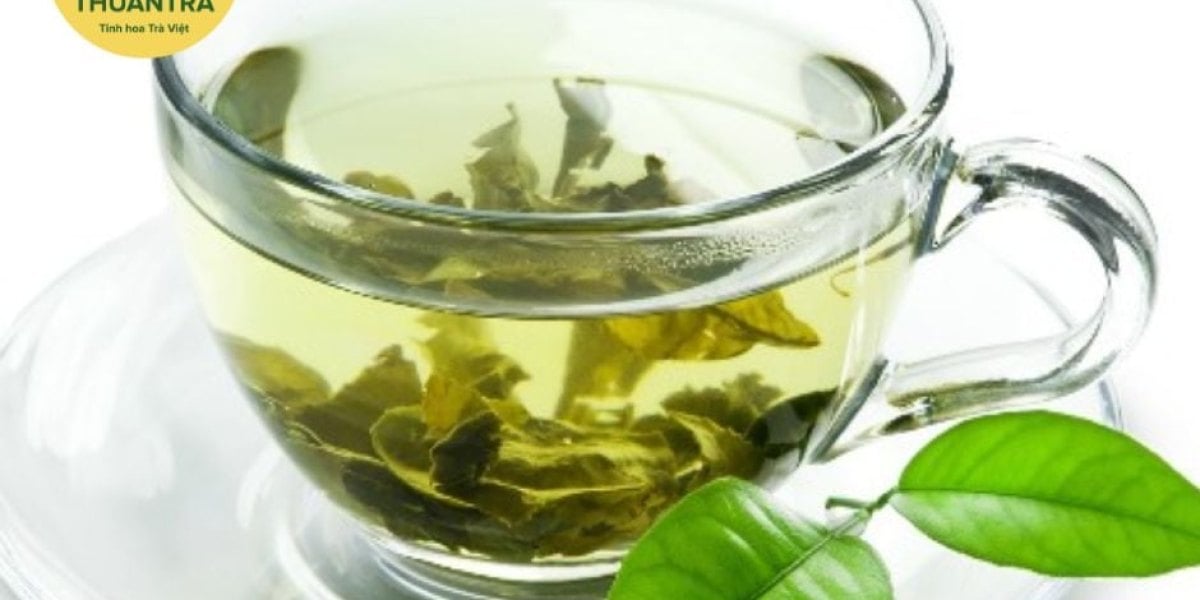 Trà xanh truyền thống là gì? So với túi lọc, đóng chai, tẩm hương và cách chọn cho hương vị, sức khoẻ