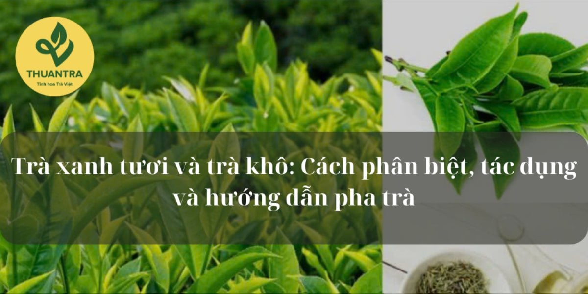 Cách nấu nước chè xanh tươi ngon, không đắng, để lâu không đỏ nước — 2 cách, định lượng và lỗi thường gặp