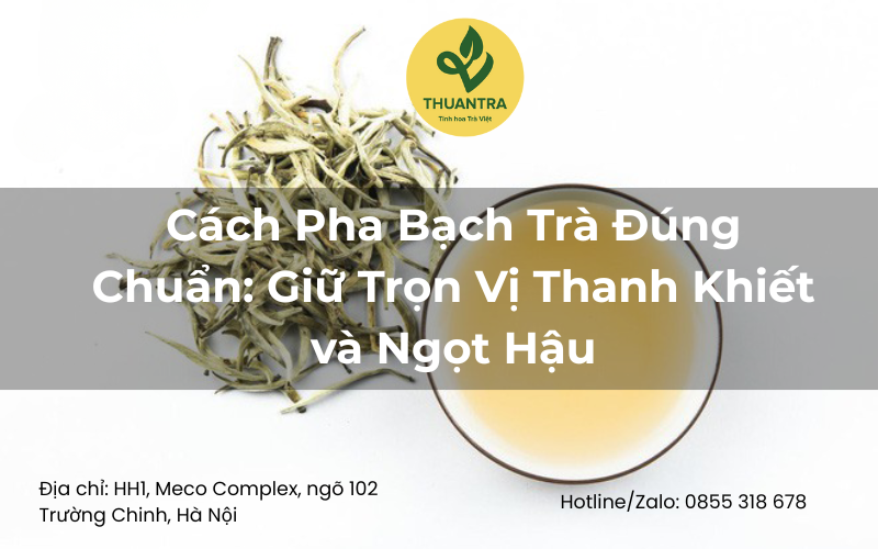 Cách Pha Bạch Trà Đúng Chuẩn: Giữ Trọn Vị Thanh Khiết và Ngọt Hậu