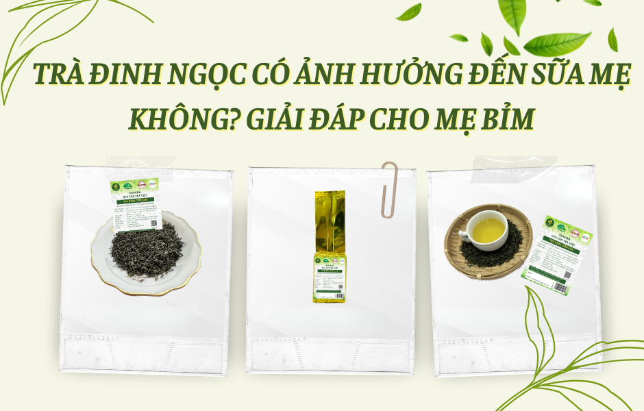 Trà Đinh Ngọc Có Ảnh Hưởng Đến Sữa Mẹ Không? Giải Đáp Cho Mẹ Bỉm