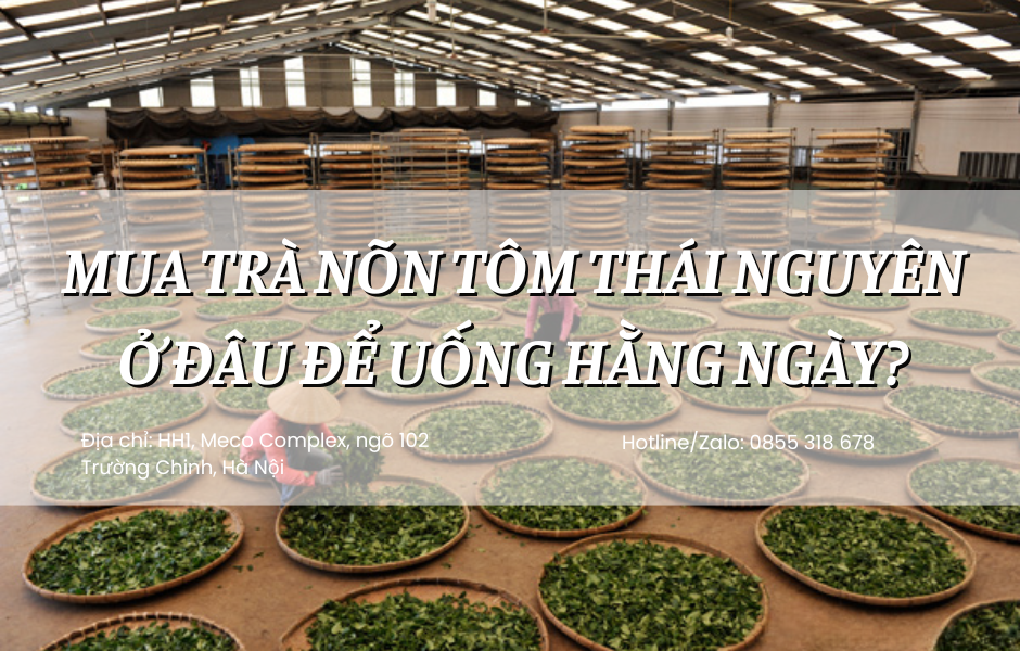 Mua Trà Nõn Tôm Thái Nguyên Ở Đâu Để Uống Hằng Ngày?