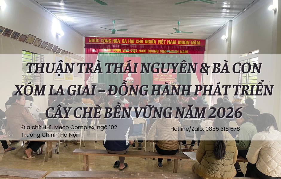 Thuận Trà Thái Nguyên & Bà Con Xóm La Giai – Cùng Nhau Xây Dựng Vùng Chè Bền Vững Cho Năm 2026
