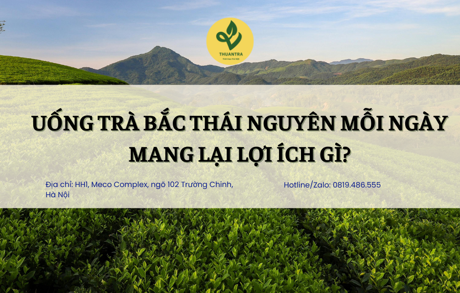 Uống trà Bắc Thái Nguyên mỗi ngày mang lại lợi ích gì?