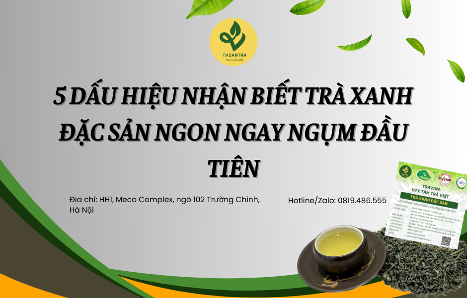 5 dấu hiệu nhận biết Trà Xanh Đặc Sản ngon ngay ngụm đầu tiên