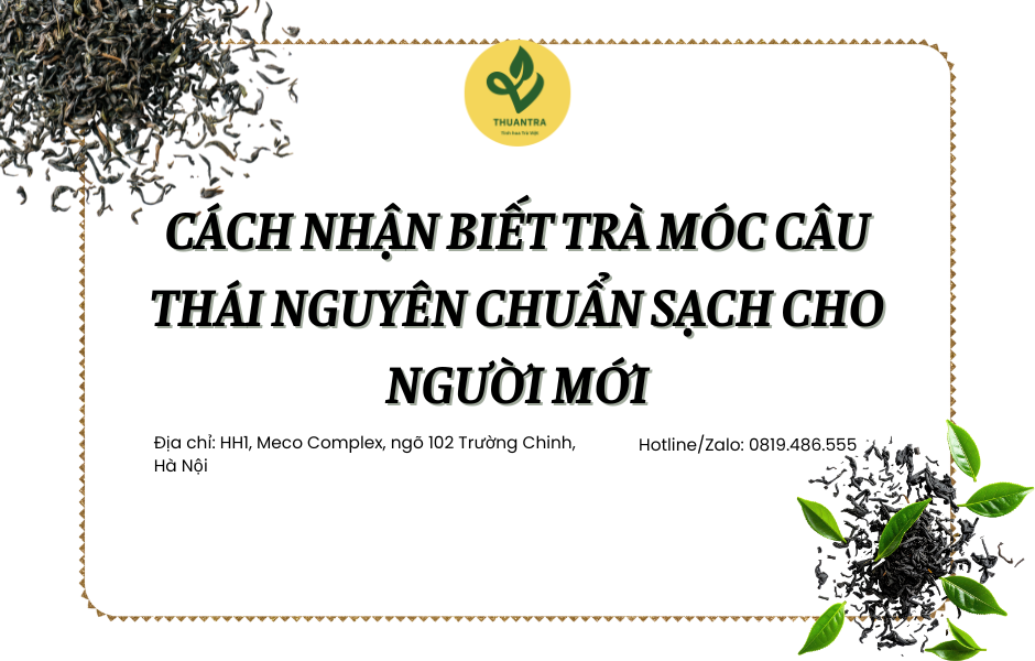 Cách nhận biết trà móc câu Thái Nguyên chuẩn sạch cho người mới