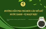 Hướng dẫn pha trà móc câu để giữ nước xanh – vị ngọt hậu