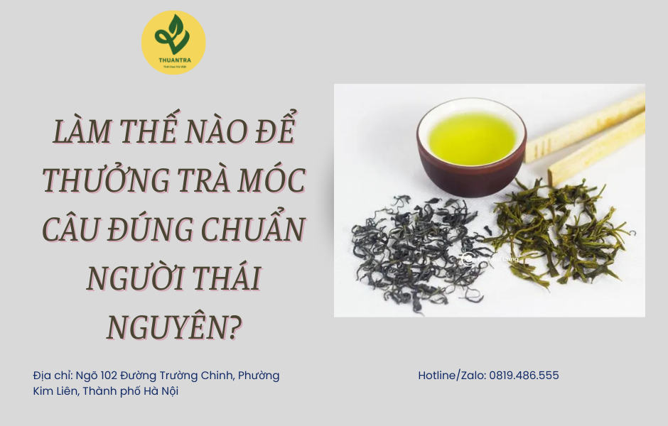 Làm thế nào để thưởng trà móc câu đúng chuẩn người Thái Nguyên?