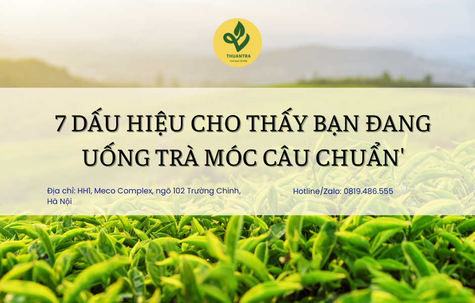 7 dấu hiệu cho thấy bạn đang uống trà móc câu chuẩn