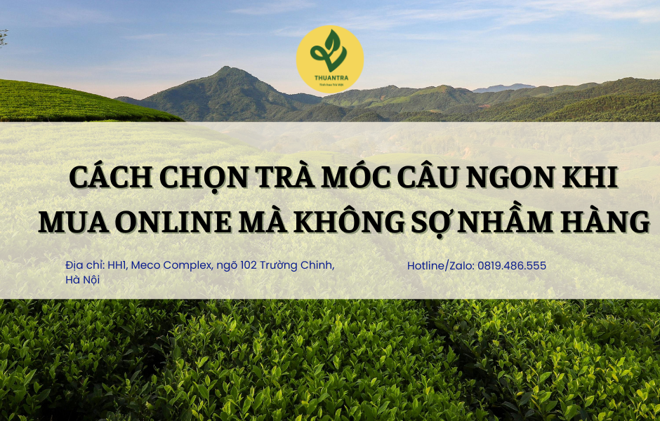 Cách chọn trà móc câu ngon khi mua online mà không sợ nhầm hàng