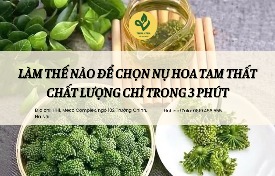 Làm thế nào để chọn nụ hoa tam thất chất lượng chỉ trong 3 phút