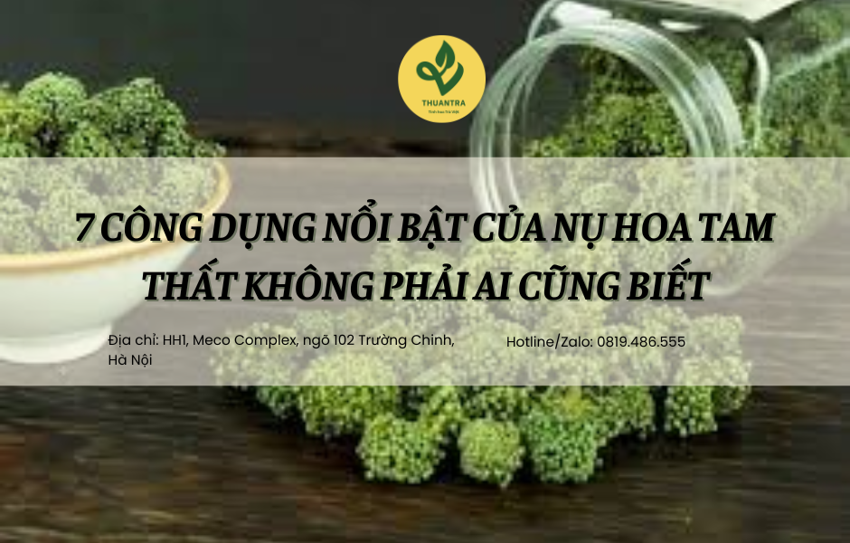 7 công dụng nổi bật của nụ hoa tam thất không phải ai cũng biết