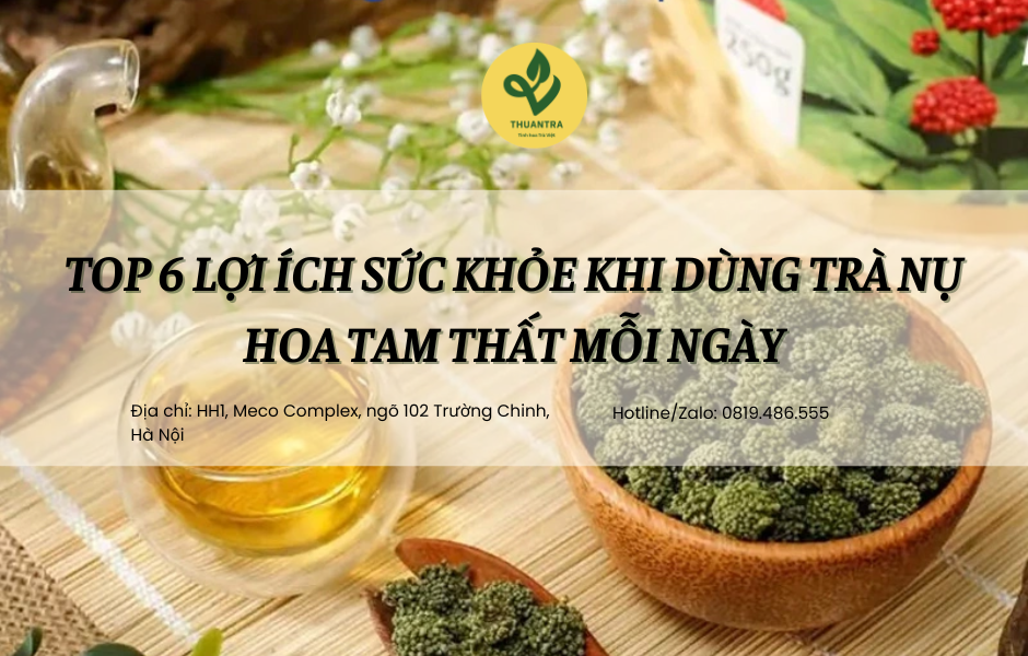 Top 6 lợi ích sức khỏe khi dùng trà nụ hoa tam thất mỗi ngày