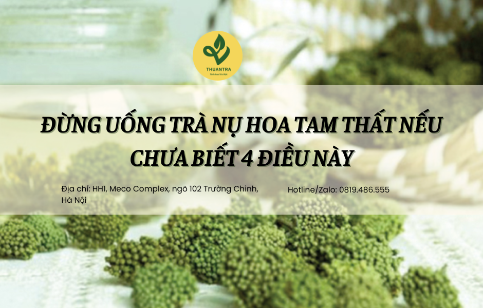 Đừng uống trà nụ hoa tam thất nếu chưa biết 4 điều này