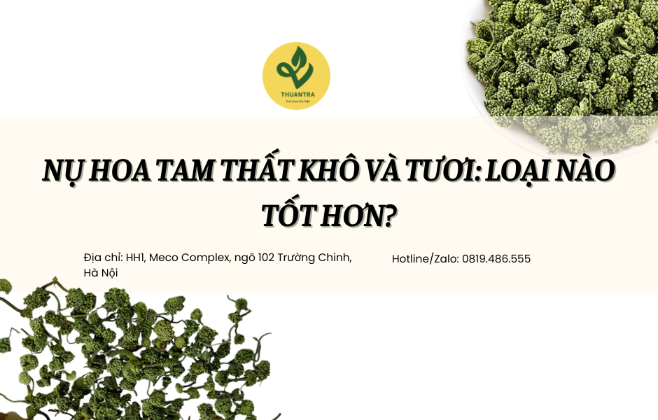 Nụ hoa tam thất khô và tươi: Loại nào tốt hơn?