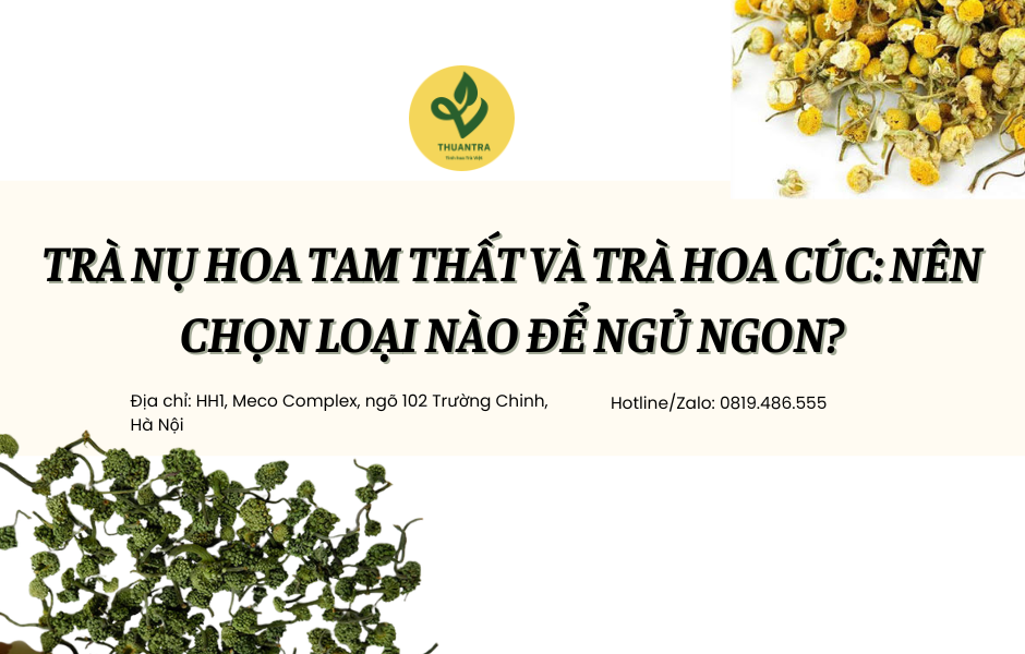Trà nụ hoa tam thất và trà hoa cúc: Nên chọn loại nào để ngủ ngon?