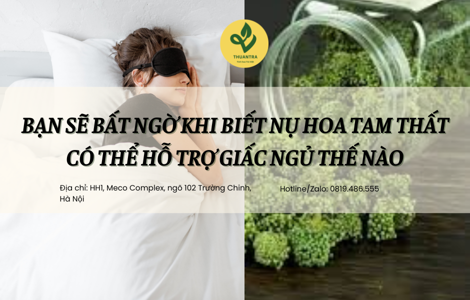 Bạn sẽ bất ngờ khi biết nụ hoa tam thất có thể hỗ trợ giấc ngủ thế nào?