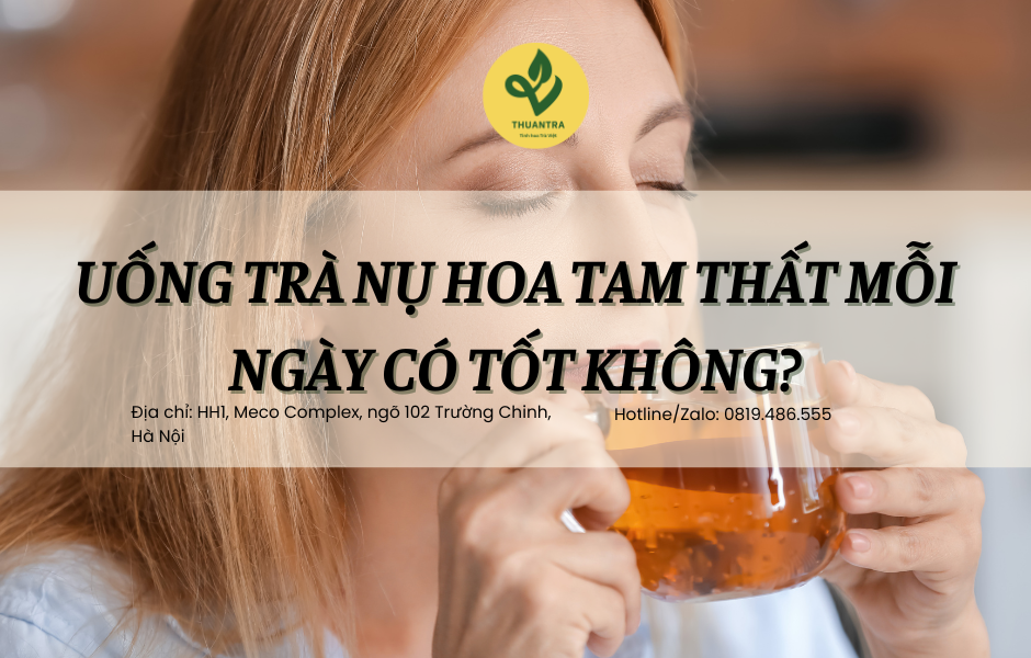 Uống trà nụ hoa tam thất mỗi ngày có tốt không?