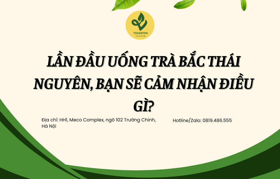 Lần đầu uống trà Bắc Thái Nguyên, bạn sẽ cảm nhận điều gì?