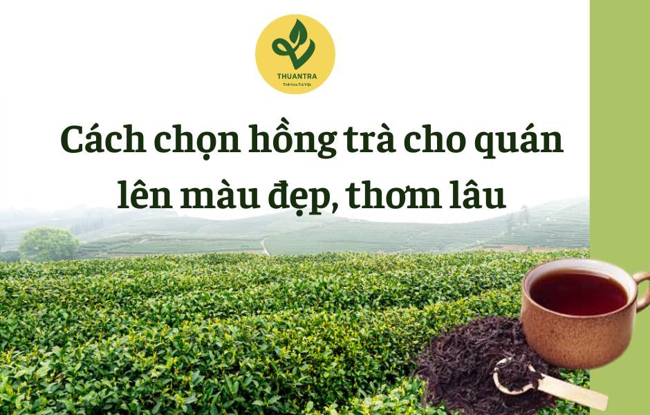 Cách chọn hồng trà cho quán: lên màu đẹp, thơm lâu
