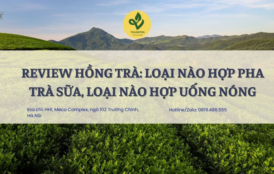 Review hồng trà: loại nào hợp pha trà sữa, loại nào hợp uống nóng