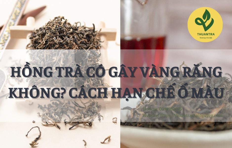 Hồng Trà Có Gây Vàng Răng Không? Cách Hạn Chế Ố Màu