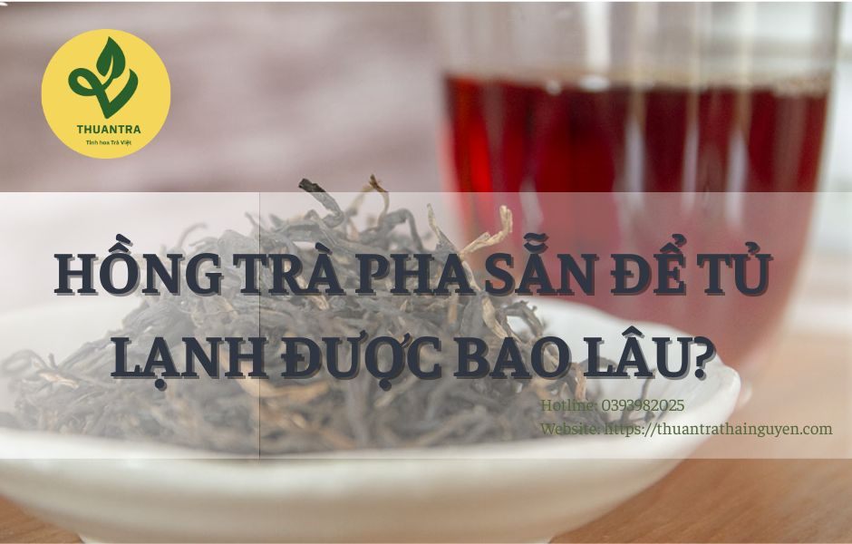 Hồng Trà Pha Sẵn Để Tủ Lạnh Được Bao Lâu?