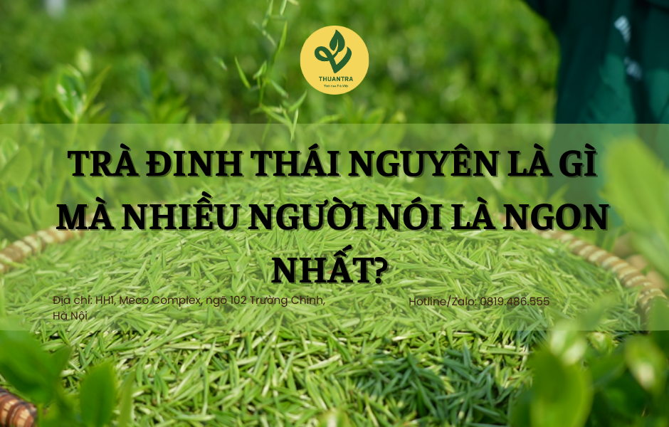 Trà Đinh Thái Nguyên Là Gì Mà Nhiều Người Nói Là Ngon Nhất?