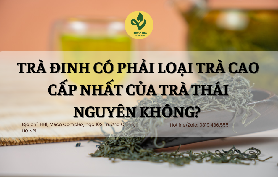 Trà Đinh Có Phải Loại Trà Cao Cấp Nhất Của Trà Thái Nguyên Không?