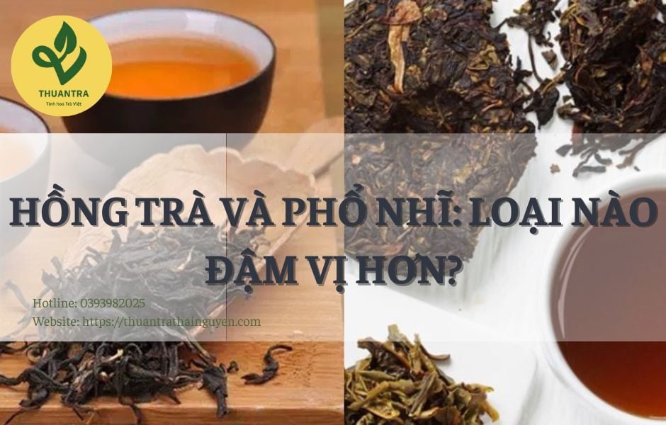 Hồng Trà Và Phổ Nhĩ: Loại Nào Đậm Vị Hơn?