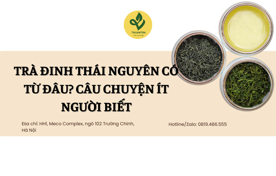 Trà Đinh Thái Nguyên Có Từ Đâu? Câu Chuyện Ít Người Biết