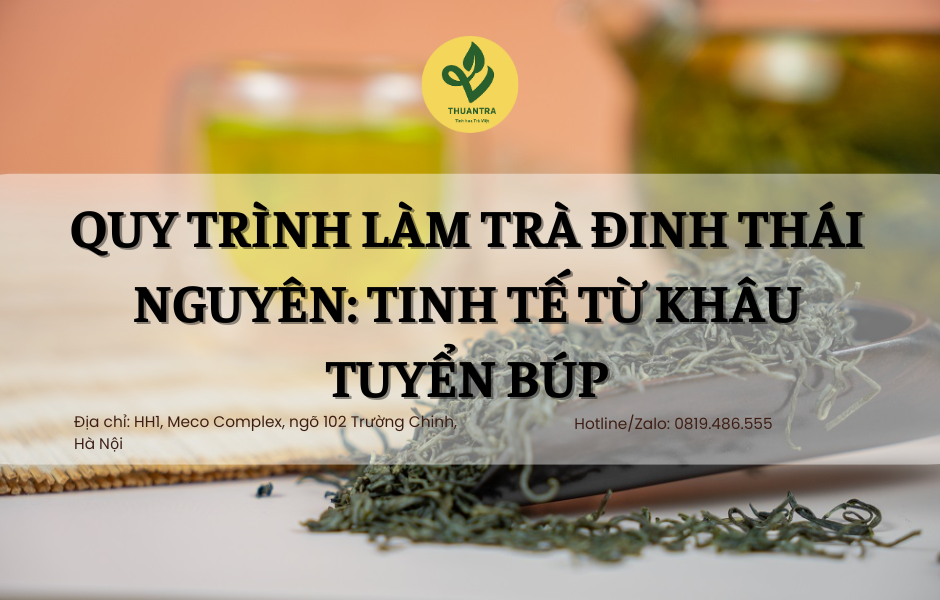Quy Trình Làm Trà Đinh Thái Nguyên: Tinh Tế Từ Khâu Tuyển Búp