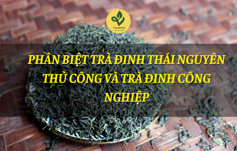 Phân Biệt Trà Đinh Thái Nguyên Thủ Công Và Trà Đinh Công Nghiệp