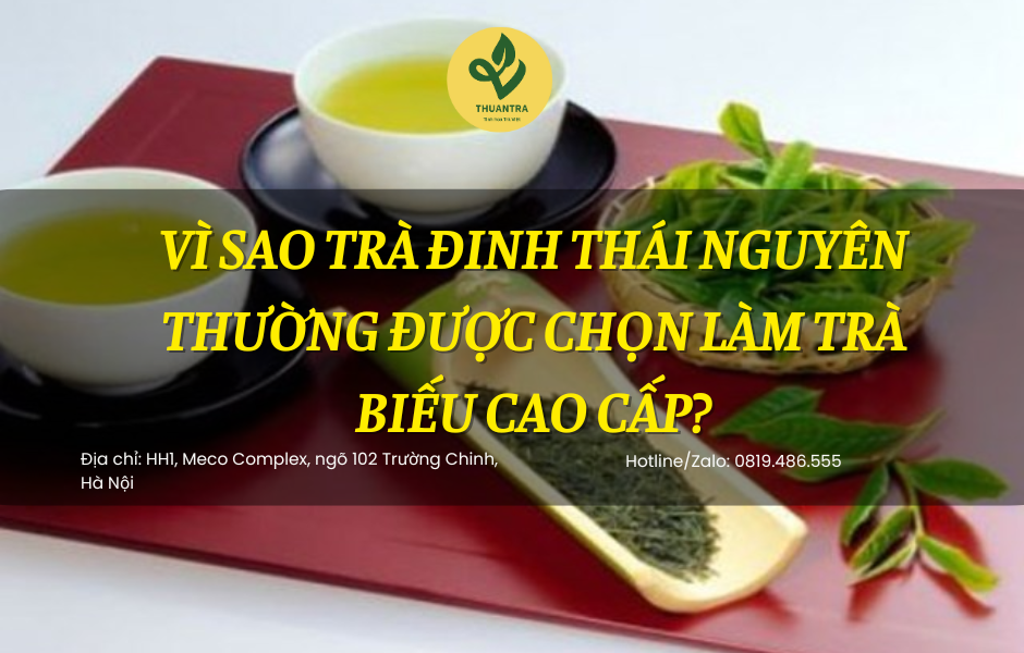 Vì Sao Trà Đinh Thái Nguyên Thường Được Chọn Làm Trà Biếu Cao Cấp?