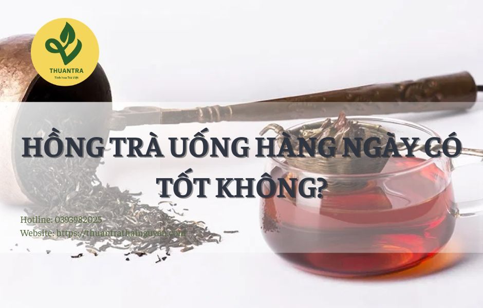 Hồng Trà Uống Hàng Ngày Có Tốt Không?