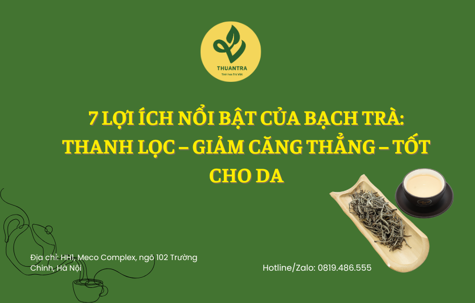 Top 7 Lợi Ích Nổi Bật Của Bạch Trà: Thanh Lọc – Giảm Căng Thẳng – Tốt Cho Da
